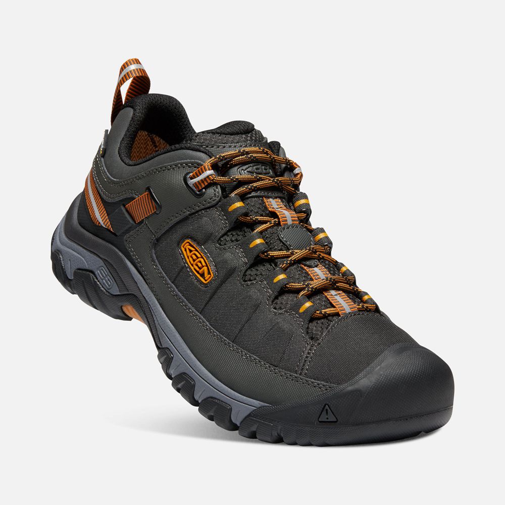 Chaussure de Randonnée Keen Homme Noir/Doré | Targhee Exp Waterproof | GHDOE-9378